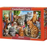 Castorland Kočky v domě 2000 dílků – Zboží Mobilmania