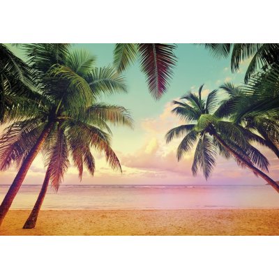 Komar 8-967 Papírová otiratelná fototapeta na zeď Miami pláž a palmy rozměry 368 x 254 cm – Zboží Mobilmania