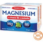 Terezia Magnesium + vitamin B6 a meduňka 30 kapslí – Hledejceny.cz