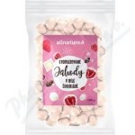 Allnature Jahody sušené mrazem v bílé čoko 100 g – Zboží Dáma