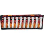 Petardy Dragon X 10 ks – Zboží Dáma