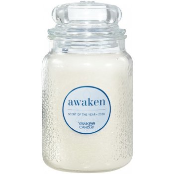 Yankee Candle Awaken 623 g