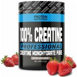 Protein Nutrition 100% Creatine Professional 500 g – Zboží Dáma