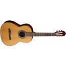 CORT AC 250