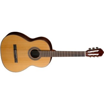 CORT AC 250