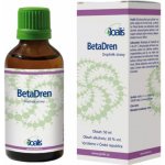 Joalis BetaDren diabetes glykemické poruchy 50 ml – Hledejceny.cz