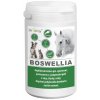 Vitamíny pro psa Dromy BOSWELLIA Serrata 750 g
