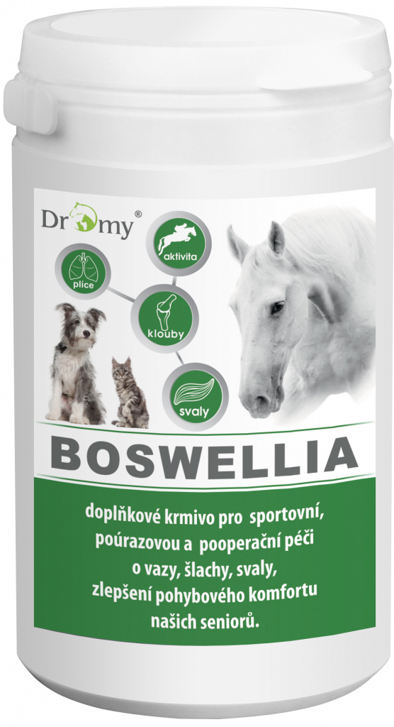 Dromy BOSWELLIA Serrata 750 g