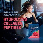WoldoHealth® Mořský a hovězí kolagen Malina 25 x 12 g – Hledejceny.cz