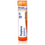 PHOSPHORUS POR 15CH GRA 1X4G – Hledejceny.cz