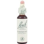 Bachovy květové esence Řepík lékařský Agrimony 20 ml – Hledejceny.cz