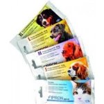 Fipron Spot-on Dog M 1 x 1,34 ml – Hledejceny.cz