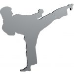 Přívěsek na klíče TITANUS karatista – Zboží Dáma