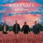 Westlife - Wild Dreams CD – Sleviste.cz