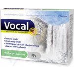 Vocal HA Pastilky bez cukru s příchutí Máty 24ks – Zboží Dáma