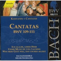 Bach - Ensemble - Helmuth Rilling - Bach - Cantatas Vol. 35