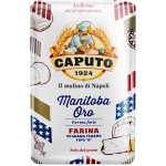 Caputo mouka typ 0 Manitoba Oro 1 kg – Zboží Dáma