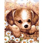 Zuty Malování podle čísel ŠTĚŇÁTKO – Hledejceny.cz