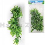 Unionstar Ficus L 40 cm – Zbozi.Blesk.cz