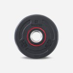 CORENGTH Gumový kotouč na posilování 1,25 kg 28 mm 1,25kg – Zboží Mobilmania