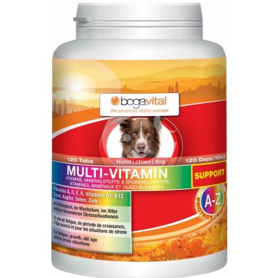 Bogar bogavital Multi-Vitamin support 180 g/120 tbl