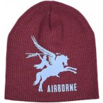 Airborne pegasus čepice pletená fialová – Hledejceny.cz
