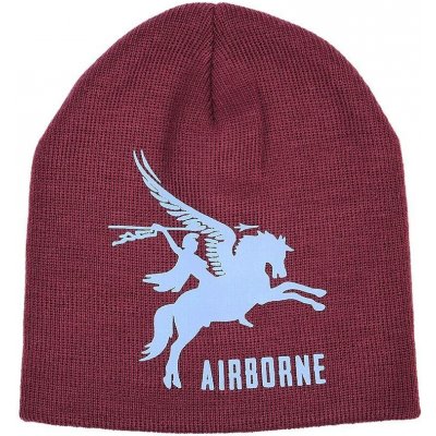 Airborne pegasus čepice pletená fialová – Hledejceny.cz