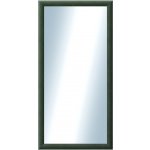 DANTIK LEDVINKA 50 x 100 cm zelená 1443 – Hledejceny.cz