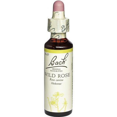 Bachovy květové esence kapky Wild Rose Planá šípková růže 20 ml – Hledejceny.cz