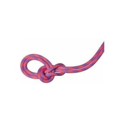 Mammut 9.5 Crag Dry 70 m – Zbozi.Blesk.cz