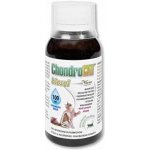 Orling Chondrocat Biosol 0,1 l – Zboží Dáma