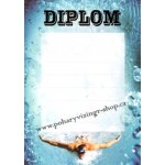 VIZINGR Plavání diplom A4 č.6 Plav.č.6 BEZ TEXTU – Hledejceny.cz