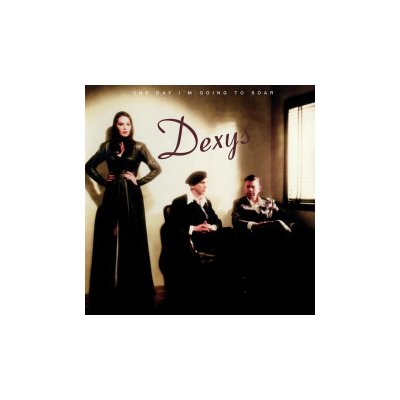 Dexys - One Day I'm Going To Soar Viny 2 LP – Zboží Mobilmania