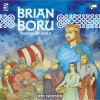 Desková hra Osprey Games Brian Boru: High King of Ireland