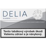 Delia Classic Silver – Zboží Dáma