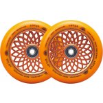 Root Lotus 110 mm radiant orange 2 ks