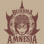 Buddha Seeds Amnesia semena neobsahují THC 1 ks – Zboží Dáma