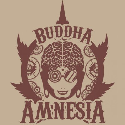 Buddha Seeds Amnesia semena neobsahují THC 1 ks – Zboží Dáma