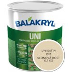 Balakryl Uni lesk 0,7 kg slonová kost – Zbozi.Blesk.cz