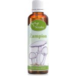 Serafin Žampion tinktura z bylin 50 ml – Hledejceny.cz