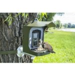 Technaxx DE Krmítko pro ptáky s kamerou Full HD Birdcam TX-165 – Hledejceny.cz