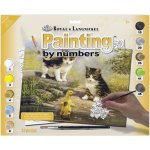 Royal Langnickel Malování podle čísel Přátelé u vody 30 x 40 cm kreativní sada pro děti i dospělé – Hledejceny.cz
