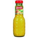 Granini Ananas nektar 200 ml – Zboží Dáma