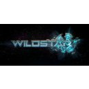 Hra na PC Wildstar