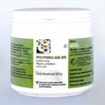 Choroš oříš Bio MRL mycélium/biomasa 250 g – Hledejceny.cz