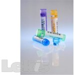 ARNICA MONTANA POR 30CH GRA 4G – Zboží Dáma ARNICA MONTANA POR 30CH GRA 4G – Zboží Dáma