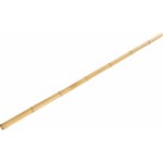 Bambusová tyč XL průměr 5 cm x 210 cm – Zboží Mobilmania