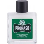 Proraso Eukalyptus balzám na vousy 100 ml – Zboží Dáma Proraso Eukalyptus balzám na vousy 100 ml – Zboží Dáma