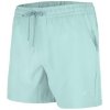 Koupací šortky, boardshorts 4F 4FSS23UBDSM022 Mint