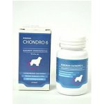 Univit Roboran Chondro 6 60 tbl – Hledejceny.cz